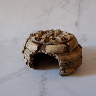 4号黄土裂紋爬虫類シェルター275　陶器製　作家もの　沖縄