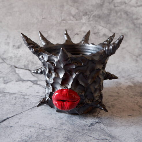 4号艶流紋黒棘マダム鉢321 塊根植物 多肉植物 アガベ 盆栽 植木鉢 作家鉢 鉢皿 沖縄