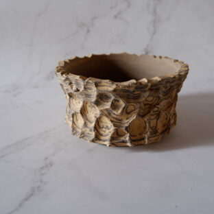 4.5号黄黒練込み鉢平499　塊根植物　多肉植物　アガベ　盆栽　植木鉢　作家鉢　鉢台　沖縄