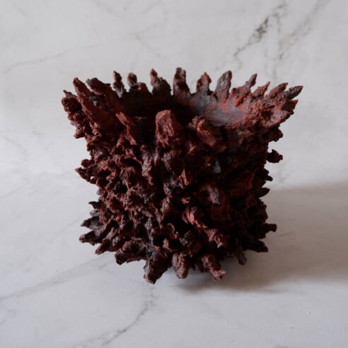 4.5号赤鬼鉢502　塊根植物　多肉植物　アガベ　盆栽　植木鉢　作家鉢　鉢台　沖縄