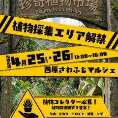 4/25 イベント出店のお知らせ
